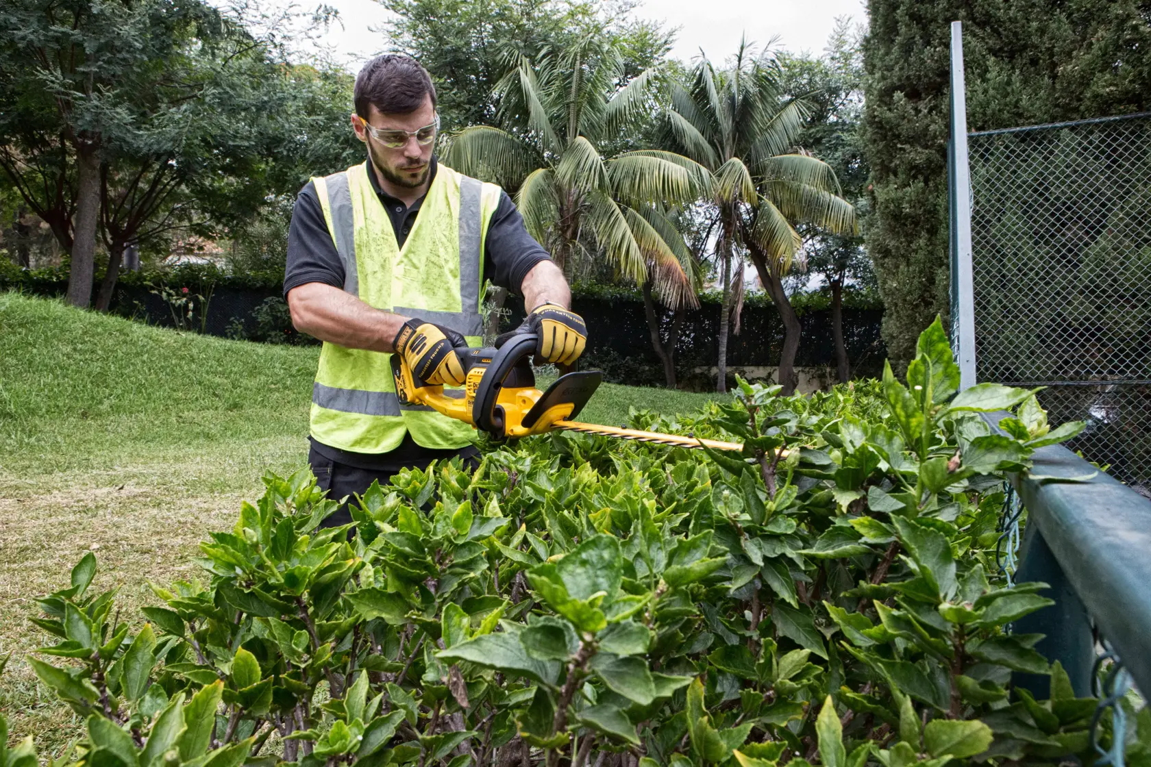 DEWALT® 18V XR® 55cm Hedge Trimmer (19mm Blade Gap) (Tool Only)