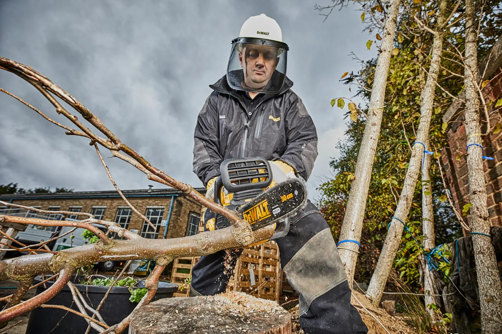 DEWALT® 18V XR® Brushless 30cm Compact Chainsaw - 1 x 5Ah