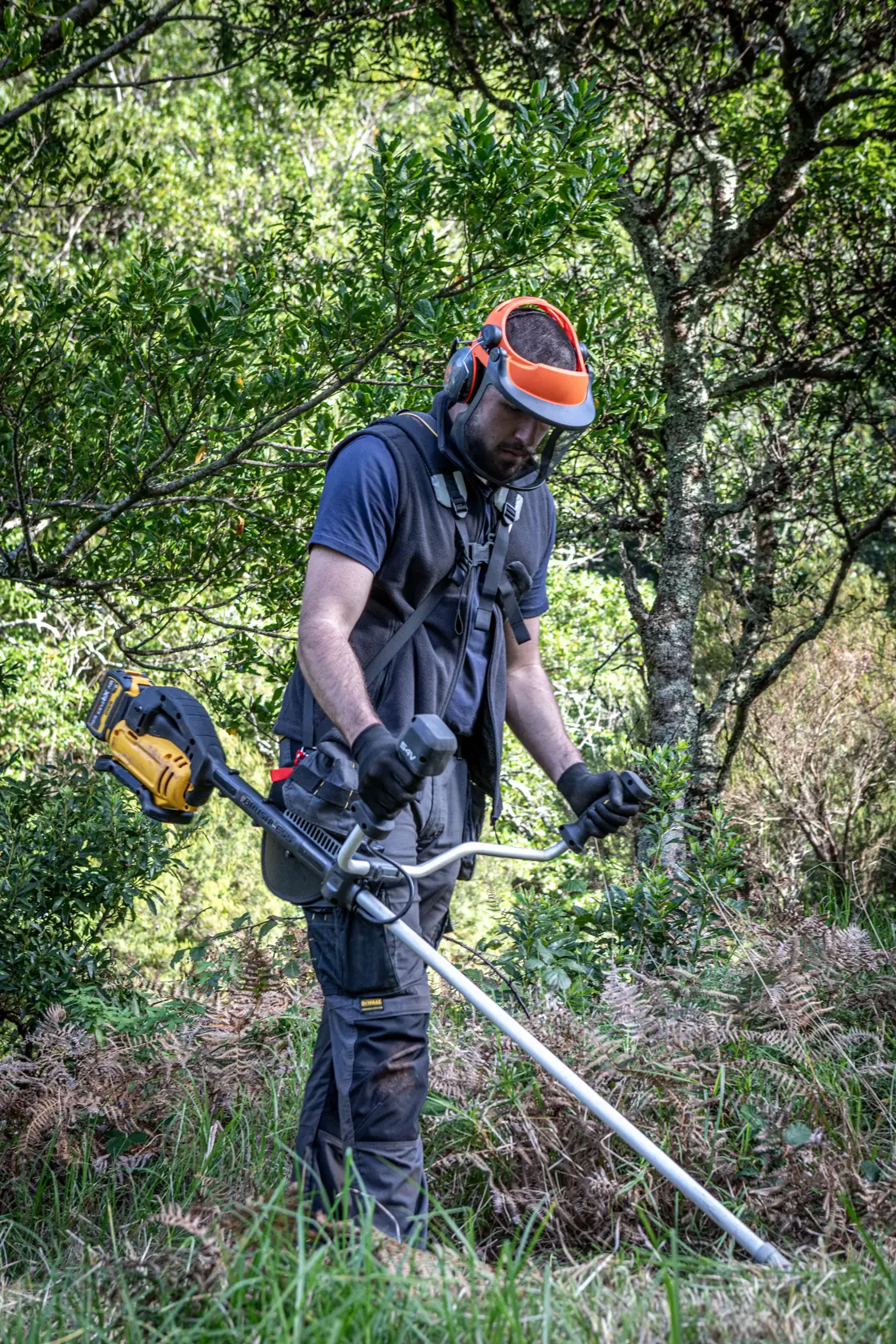 Persona corta césped con DEWALT DCMBC823N, DCMBC823N-XJ y equipo de protección al aire libre.