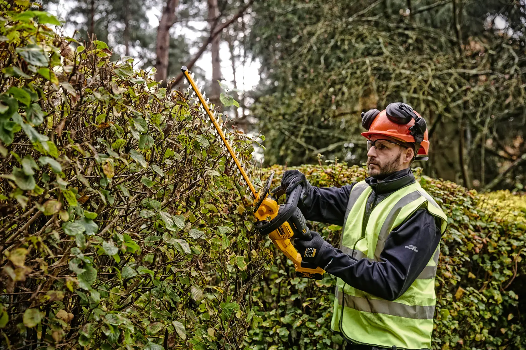 DEWALT® 18V XR® 55cm Hedge Trimmer (25mm Blade Gap) - 1 x 5Ah