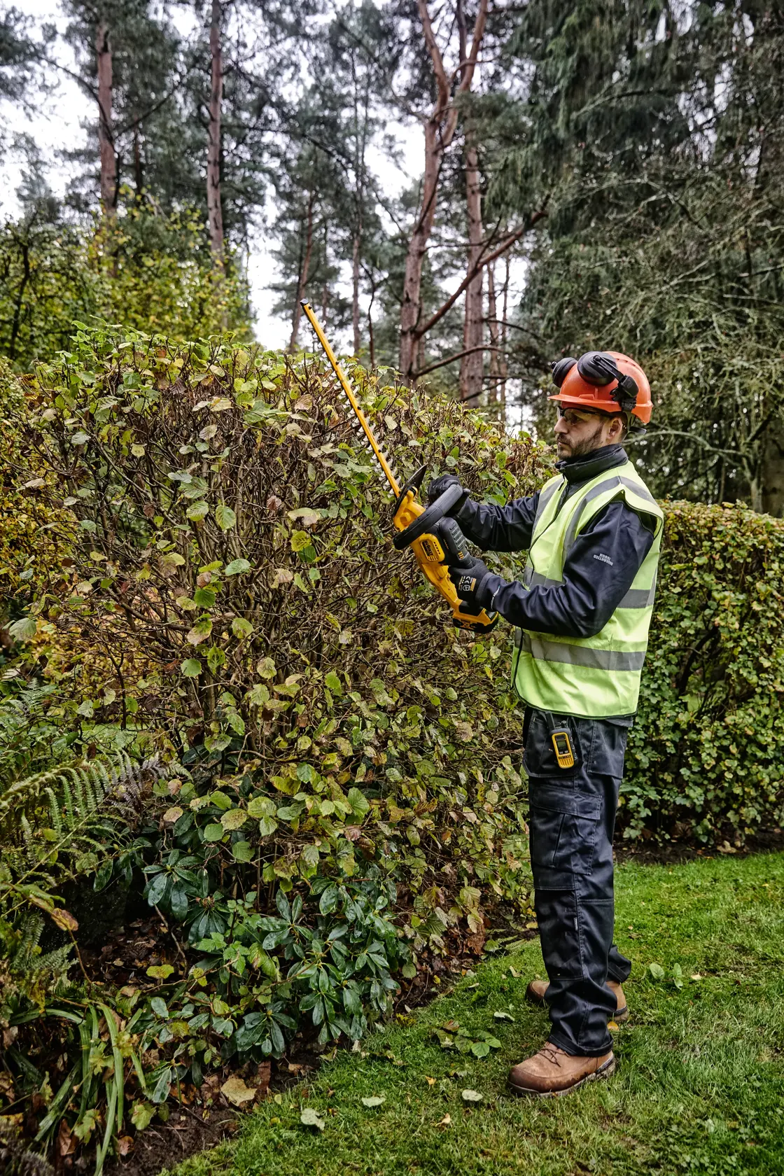 DEWALT® 18V XR® 55cm Hedge Trimmer (25mm Blade Gap) - 1 x 5Ah
