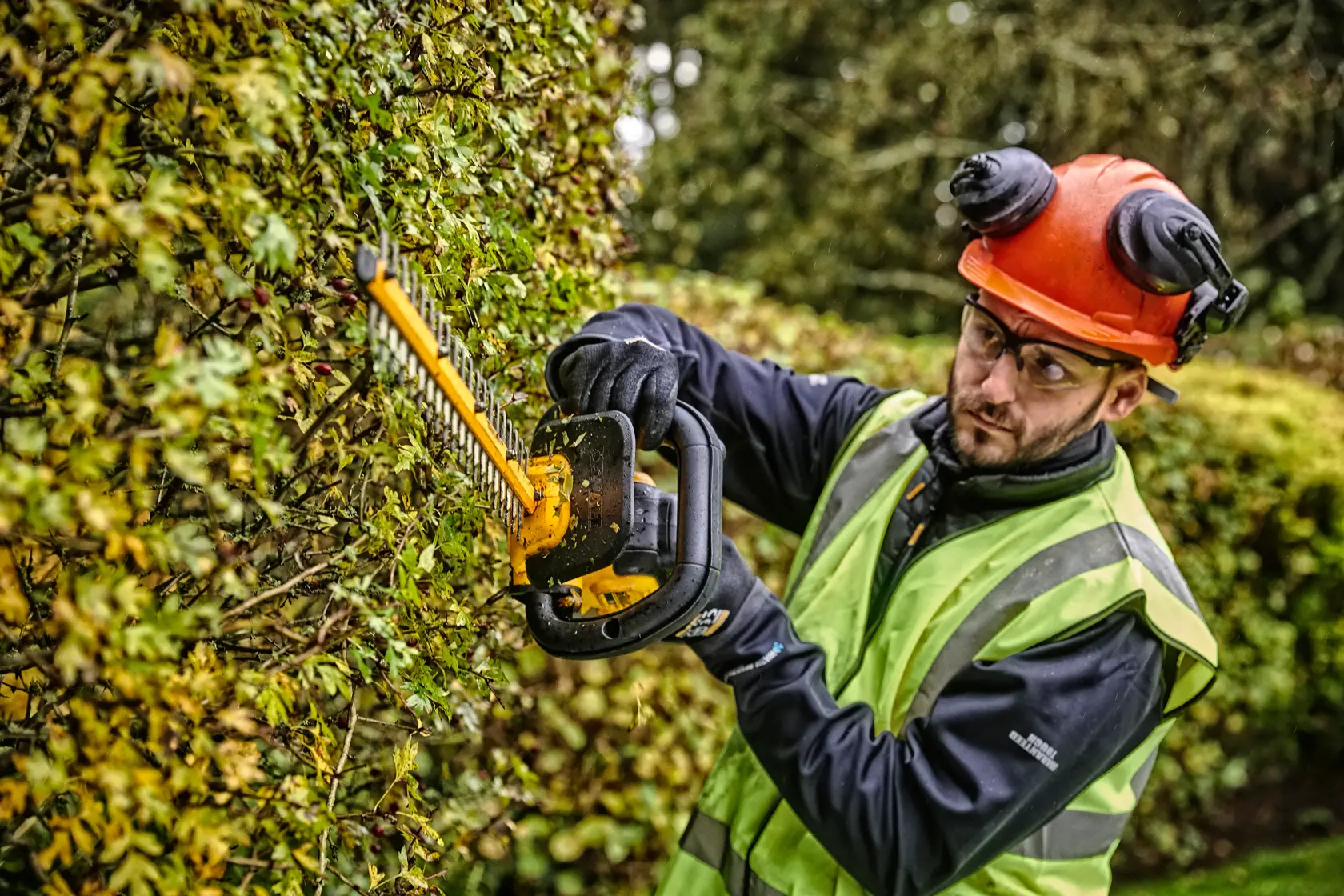 DEWALT® 18V XR® 55cm Hedge Trimmer (25mm Blade Gap) - 1 x 5Ah