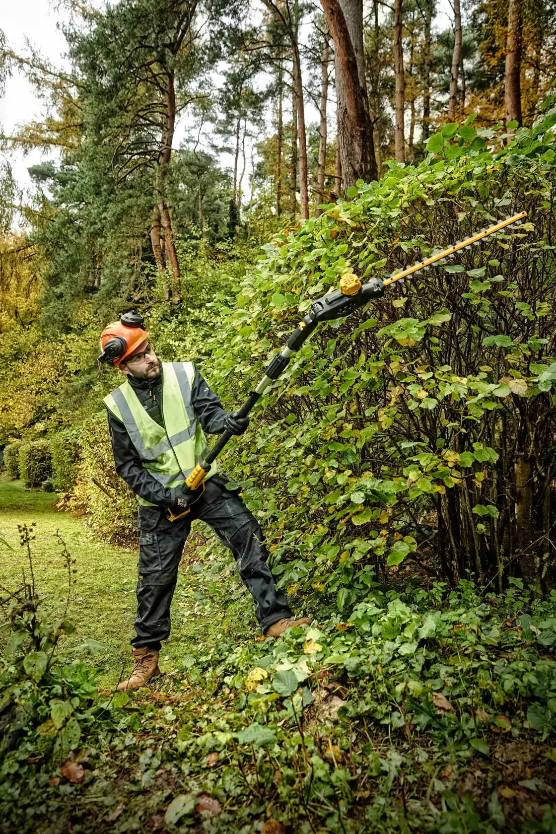 DEWALT® 18V XR® Pole Hedge Trimmer - 1 x 5Ah