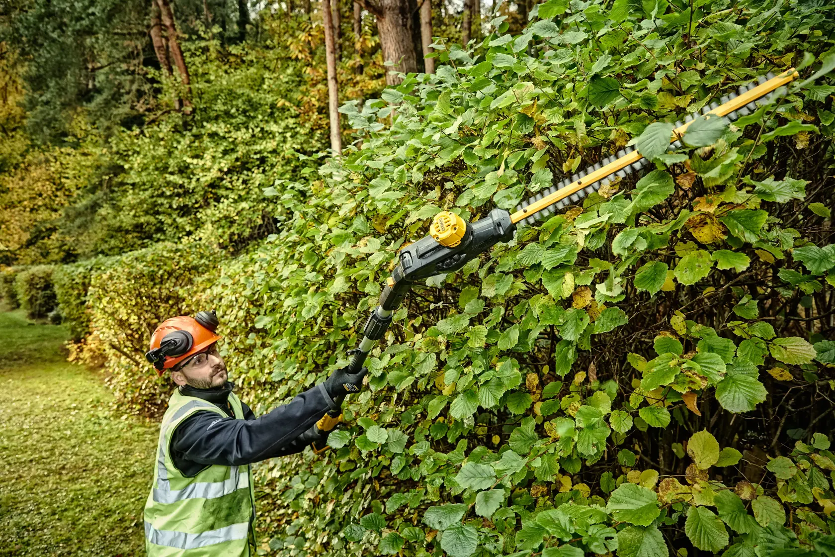 DEWALT® 18V XR® Pole Hedge Trimmer - 1 x 5Ah