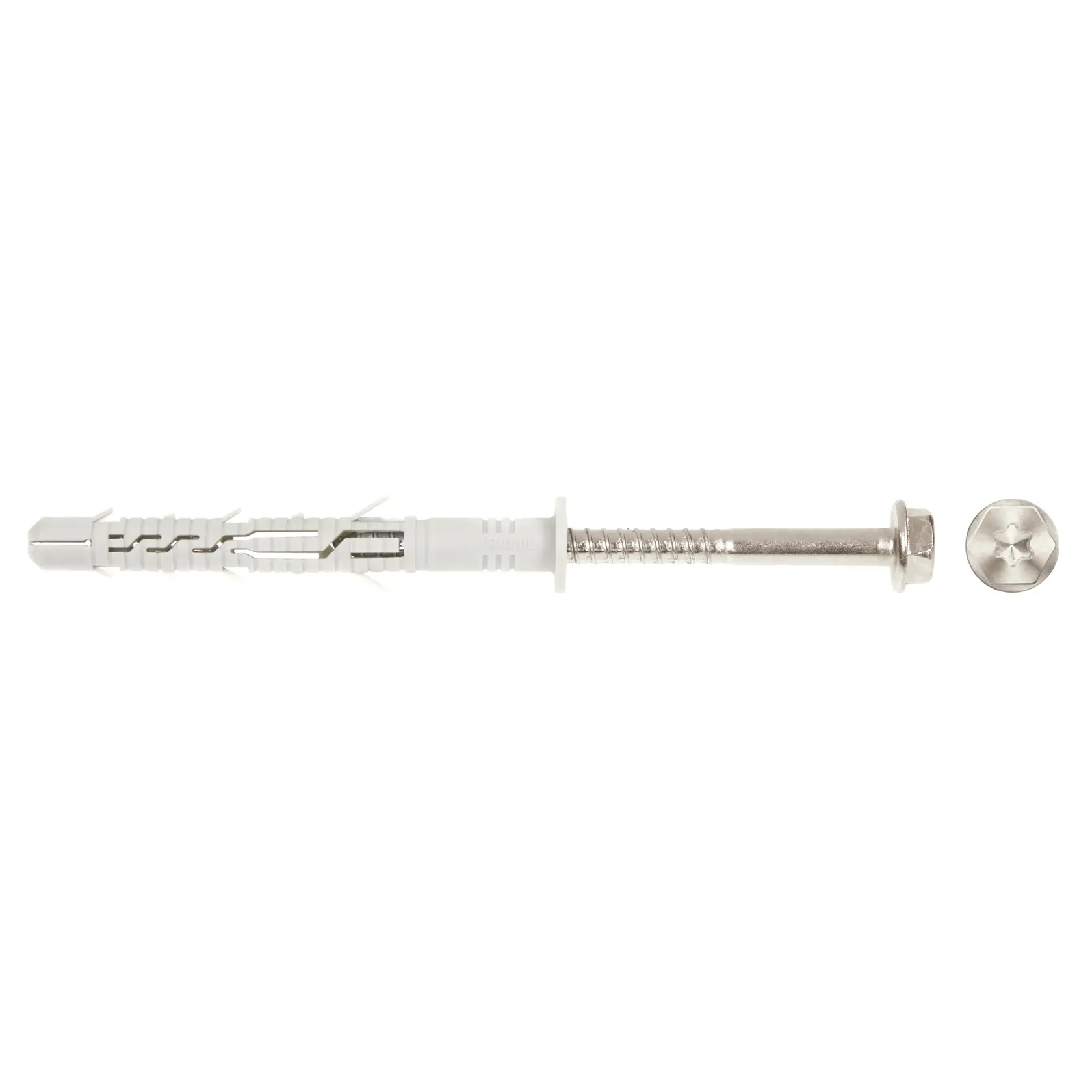 A metal screw and white wall plug anchor arranged horizontally on a white background.